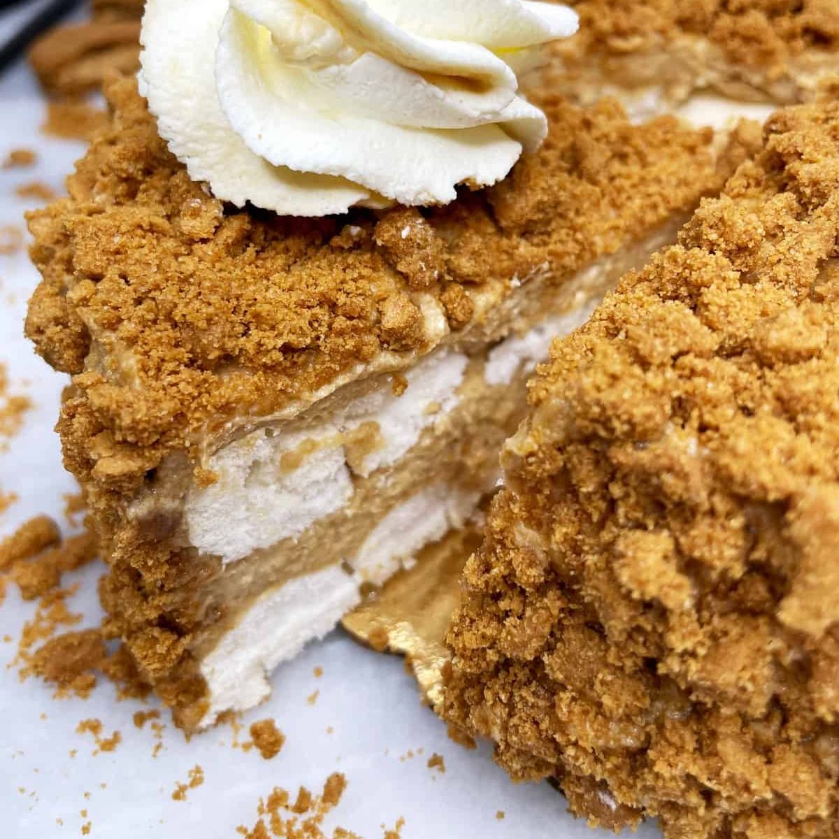 Τριμμένα Μπισκότα Lotus Biscuit Crumbs